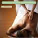 Bon Vital Naturale Massage Oil - 1 Gallon | Natural Ingredients for Earth-Friendly Massage & Dry Skin Revitalization - Buy Online on GoSupps.com