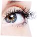 minkissy 1 Box Lotus Porcelain Plate False Eyelashes Faux Lashes Faux Eyelashes False Eyelashes Lashes Natural False Eyelashes Creative Fake Eyelashes Party Eyelashes - Buy Online on GoSupps.com