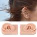 Flexible Reusable Silicone Ear Model (Middle Skin Color) - 1 Pair for Teachers and Salons - Buy Online on GoSupps.com