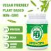 Organic 100% Pea Protein Powder - 27g Protein/Serving, Vegetarian, Gluten-Free, Non-GMO - 2.62lbs - Buy Online on GoSupps.com