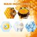 New Bee Venom Gel & Extract - Herbal Honey Gel Cream for All Skin Types (30ml x 2) | Joint Support & Skin Care - Buy Online on GoSupps.com
