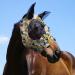 Harrison Howard Super Comfort Stretchy Fly Mask - Large Eye Space UV Protection & Breathability | Blue-Yellow (L) - Ideal for International Shipping - Buy Online on GoSupps.com