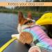 Buy Dog Cooling Vest - Breathable Mesh Cooling Coat for All Dog Sizes - Adjustable Straps - Rainbow Design - Buy Online on GoSupps.com