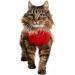 MPS Medical Pet Shirt Cat Surgery Recovery Suit Red X-Small - Buy Online on GoSupps.com
