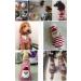 Petcare Christmas Dog Sweater | Warm Turtleneck Knitwear for Puppies | Santa Claus XL Party Gift - Buy Online on GoSupps.com