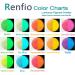 Renfio Glow Powder 3.5oz 100g - Green Face Paint Mica Powder for Resin, Nail Polish, Slime & Art - Fluorescent Luminous Pigment Dye for Halloween Party - Buy Online on GoSupps.com