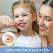 2Pcs Dental Model for Kids - Educational Denture Tool for Teaching & Dentist Demonstrations - Buy Online on GoSupps.com