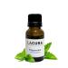 LaCura Pure Organic Essential Oils Peppermint Oil 15ml - Therapeutic Grade Natural Relief for Headaches & Digestive Health - Multi-Use Aromatherapy Oil for Topical & Oral Application