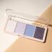 YOUNG VISION Enchanting Purple Eyeshadow Palette - Matte and Shimmer Shades for Captivating Eye Looks - Buy Online on GoSupps.com