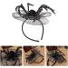 Beaupretty 1pc Halloween Hair Band Spider Shape Headband Women's Hats & Caps Headband Black Headbands for Women Black Halloween Bat Hairband Prom Decorate Apparel Accessories Miss Clothing - Buy Online on GoSupps.com