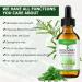 Organic Rosemary Oil for Hair Growth and Skin Care - 60ml | Pure Essential Oil for Hair Loss Treatment - Buy Online on GoSupps.com