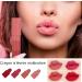 Fellflying Matte Lipstick Set Lipstick Sets for Women - Non-Sticky Lipstick Set | 4Pcs Waterproof Matte Lipstick Makeup Set  - Buy Online on GoSupps.com
