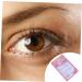 MAGICLULU Bottom Lashes Strip 20 Pairs Lower Eyelashes Natural Lashes Fake Eyelashes Fake Lashes False Eyelashes False Lower Lashes Natural Eyelashes Bottom Lashes Fiber Transparent Stem - Buy Online on GoSupps.com