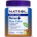 Natrol Relax+ Day Calm Daily Stress Relief - Fruit Punch - 60 Gummies