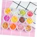FRCOLOR 2 Sets polymer fruit slices polymer slices nail art fruit slices for nail slice decorations resin beads flatback resin kits mini nail kit DIY Nail Slice gem bead bracelet 3d - Buy Online on GoSupps.com