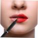 Angoily Lipstick Brush & Smudge Stick - Premium Makeup Tools for Lip Gloss & Balm - Durable Aluminum Lip Brush Wand with Artificial Fiber - Buy Online on GoSupps.com