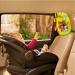 Munchkin Baby In-Sight Car Mirror Animals Swing For Entertaining Fun Green Baby In-Sight Swing - Buy Online on GoSupps.com
