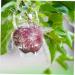 ORFOFE 2pcs Shaped Growth Fruit Buddha Baby Shaper Small Watermelon Accessories - Buy Online on GoSupps.com
