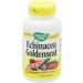 Buy Nature's Way Echinacea Goldenseal 900mg - 180 Vegan Capsules for Immune Support - Buy Online on GoSupps.com