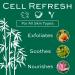 Buy Christine Valmy Cell Refresh AHA Exfoliation Lotion - 1.69 oz | Hydrating & Nourishing Formula | International Shipping Available - Buy Online on GoSupps.com