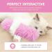 HAWAKA Cat Kicker Toys 11" Long Soft Plush Cat Toys Interactive Toy Cat Pillows Toys with Sound Paper Catnip Toys for Kitty Chewing Training Interactive (Color-B) - Buy Online on GoSupps.com