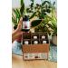 Organic Pomegranate Juice 6 Pack (6x250ml) - 100% Pure Cold-Pressed Vegan | No Added Sugars Dyes or Preservatives - Berriespolska  - Buy Online on GoSupps.com