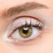 Cosline Eyeshadow No. 305 - Vegan Champagne Powder Pen | On-the-Go Makeup | Made in Germany - Buy Online on GoSupps.com