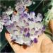 Natural Crystal Cluster Amethyst Specimen Ore Purple Reiki Stone Raw Crystal Home Decor Decoration Gift (Size : 500-600) - Buy Online on GoSupps.com