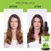 Relaxcation Shirodhara Oil | Relieve Stress & Tension | Ayurvedic Blend with Ashwagandha Gotu Kola & Sandalwood | Organic Sesame Oil for Hair Scalp & Inner Calm (0.5 oz) 0.5 Fl Oz (Pack of 1) - Buy Online on GoSupps.com