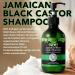 P-Beauty Castor Oil Shampoo with Biotin 3x300ml for Hair Growth Natural Hair Care & Scalp Care | Anti Hair Loss Shampoo - Buy Online on GoSupps.com