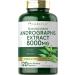 Carlyle Andrographis Paniculata Capsules | 8000 mg | 120 Capsules | Non-GMO & Gluten Free Supplement