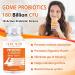 GDMENUTRI Probiotic Capsules 90 Capsules 180 Billion CFU 18 Strains Contains 3 Prebiotics for Men & Women Once Daily Probiotic Dietary Supplement Boosts Digestive and Immune Health - Buy Online on GoSupps.com