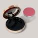 Pippa Of London Remix Blush Powder Refillable Case with 881 Upper