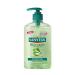 Sanytol Antibacterial Moisturizing Hand Soap 250ml - Buy Online & Ship Internationally | Best Hand Hygiene Solutions - Buy Online on GoSupps.com