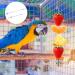 4 Pcs Bird Skewer Stainless Steel Parrot Skewer Feeder Bird Veggies Skewer Fruit Food Holder Hanging Food Feed Tool Foraging Toy Bird Toys for Budgie Parakeet Cockatiel - Buy Online on GoSupps.com