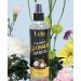 Lela Beauty Keep It Shiny Glosser - Anti-Frizz High Shine Spray with Coconut & Jojoba Oil Lightweight & Residue-Free Hair Shine Serum 240mL/8.1 fl oz - Buy Online on GoSupps.com