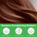 Organic Rosemary Strengthening Shampoo with Biotin for Hair Growth - 300ml | For Dry Damaged Hair, Thinning Hair, and Hair Loss - Men & Women - Buy Online on GoSupps.com