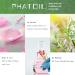 PHATOIL Myrrh Essential Oil 100ML - Pure Premium Grade for Diffuser, Humidifier, Aromatherapy & Candle Making - Buy Online on GoSupps.com