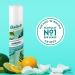 Batiste Dry Shampoo Spray Original + Tropical Scent 200-ml (Packaging may vary) - Buy Online on GoSupps.com