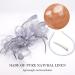 Drolasa Fascinators for Women With Hair Clips Headbands Flax Fascinators for Women High Tea Lightweight Fascinator (Grey) - Buy Online on GoSupps.com