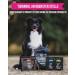 Tales & Tails Salmon Oil for Dogs - Omega 3 Rich 2x240ml Pack | No Artificial Additives | Pure Salmon Oil for Dog Food - Buy Online on GoSupps.com