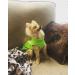 Gooby Fleece Vest Dog Sweater - Lime Large | Warm Pullover Jacket for Small Dogs | O-Ring Leash | Winter Coat for Cold Weather | Boy/Girl - Buy Online on GoSupps.com