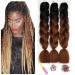 Showjarlly Kanecalon Kunsthaar Hair KanCalon Hair Braids Extension Ombre Jumbo Braid Hair extension 24 " KanCalon braids Box Hair Kunsthaar Hair For Inthalt Black/Dark Brown# 61cm-24 inch (3 pack) black/dark brown
