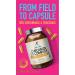 Turmerforce Curcumin C3 Complex 500mg with BioPerine - Non-GMO, Gluten Free Vegan Capsules - 30x Turmeric Powder Strength - Rite-Flex - Buy Online on GoSupps.com