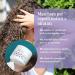 Yvyline Professional Anti-Frizz Mask for Curly Hair - Moisture & Conditioning Treatment (500ml) | Curly Girl Method Approved - Buy Online on GoSupps.com