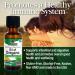 Nature's Answer Oil of Oregano Leaf - Supports Healthy Intestinal & Digestive Function - Promotes Overall Wellness - Gluten-Free, Alcohol-Free & Preservative-Free - 1oz - Buy Online on GoSupps.com