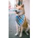 Unique Style Paws Dog Collar - Washable Cotton for Small Medium & Large Dogs & Cats (1 Pack) - Bluegrid - Buy Online on GoSupps.com