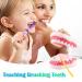 Ultrassist 6 Times Enlarge Mouth Model White Hinge for Speech Therapy - Ideal Dental Teaching Tool for Kids with Toothbrush Included - Buy Online on GoSupps.com