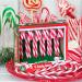 Mijoma Canmate Strawberry Candy Canes - Red/White Striped - Natural Colors - Perfect Christmas Tree Decorations & Gift Hangers - Coxy Christmas (72 x 12g) - Buy Online on GoSupps.com
