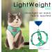 Thinkpet No-Pull Dog Harness & Leash Set | Breathable Adjustable Soft Harness for Small to Large Dogs - 2XS Green - Buy Online on GoSupps.com